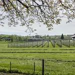 Lang Кресброн