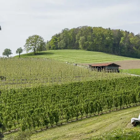 Appartement Lang Kressbronn am Bodensee