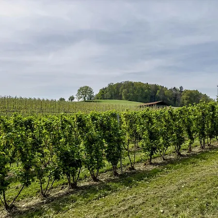 Lang * Kressbronn am Bodensee