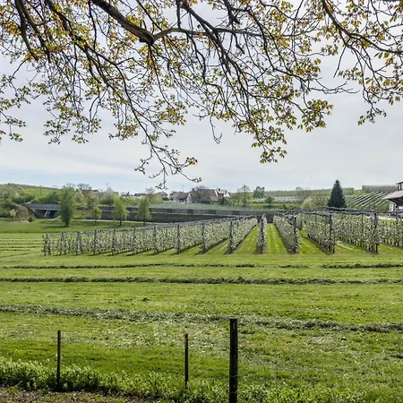 Lang Kressbronn am Bodensee