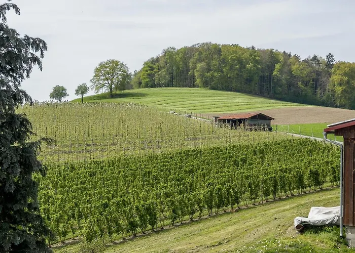 아파트 Lang 크레스브론암보덴지