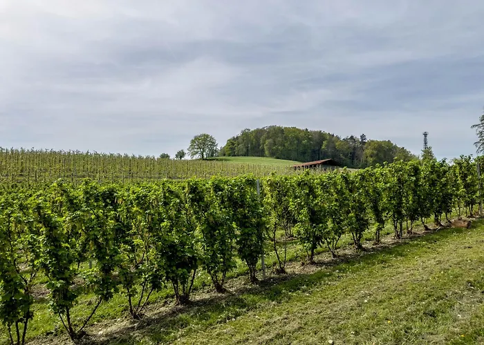 Lang * 크레스브론암보덴지