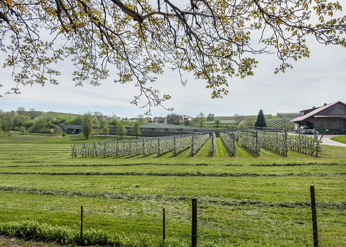 Lang 크레스브론암보덴지